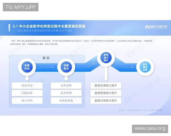 欧博管理网：打造专业化企业管理平台实现数字化转型