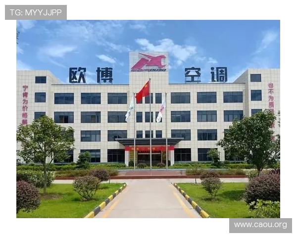 欧博集团有限公司：优化管理体系实现企业高效运营与长远发展的关键措施