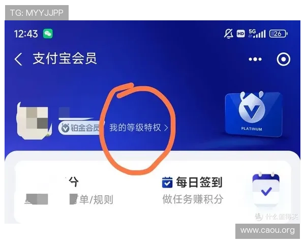 欧博会员专属入口官网提供便捷的账户管理功能，轻松查看积分、等级与权益状态